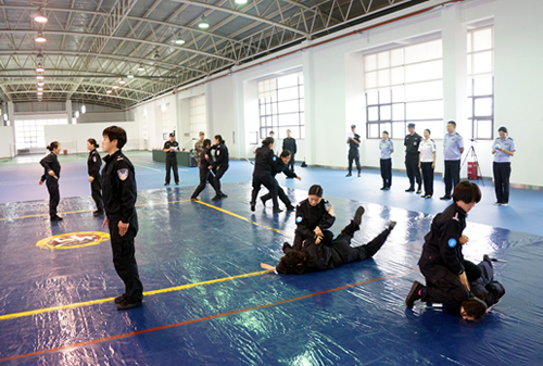 1465368280571019630.jpg 20160608pxb1.jpg