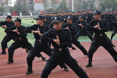 1490340357451006463.jpg 20170324pxb2.jpg